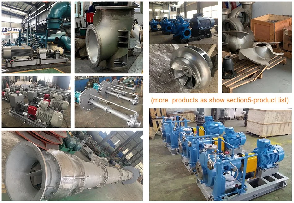 API 610 Vs4 / Vs5 Semi Submersible Centrifugal Vertical Long Shaft Industrial Submerged Sump Vertical Phosphoric Acid Slurry Stainless Steel Electric Water Pump